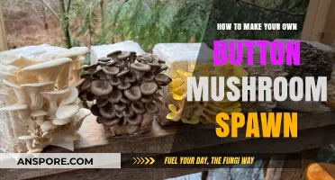 Crafting Button Mushroom Spawn: A DIY Guide for Home Growers
