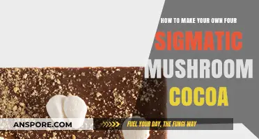 Craft Your Own Four Sigmatic Mushroom Cocoa at Home