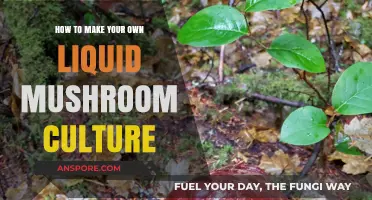 Crafting Liquid Mushroom Cultures: A DIY Guide for Growers