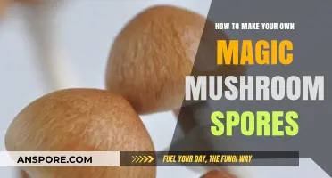 Crafting Your Own Magic Mushroom Spores: A Step-by-Step Guide