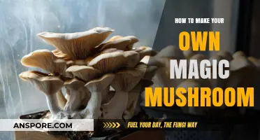 Crafting Psychedelic Experiences: A Guide to Growing Magic Mushrooms at Home