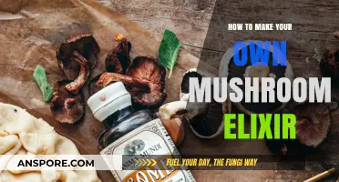 Craft Your Own Mushroom Elixir: Simple Steps for Wellness