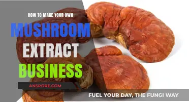 Launch Your Profitable Mushroom Extract Business: A Step-by-Step Guide