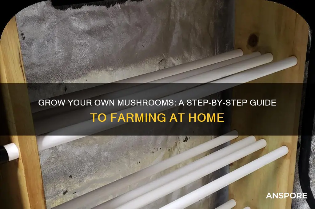 how to make your own mushroom farm