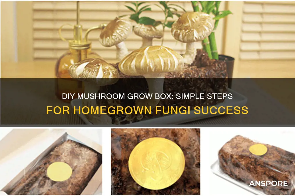 how to make your own mushroom grow box