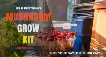 DIY Mushroom Grow Kit: Simple Steps for Homegrown Fungi Success