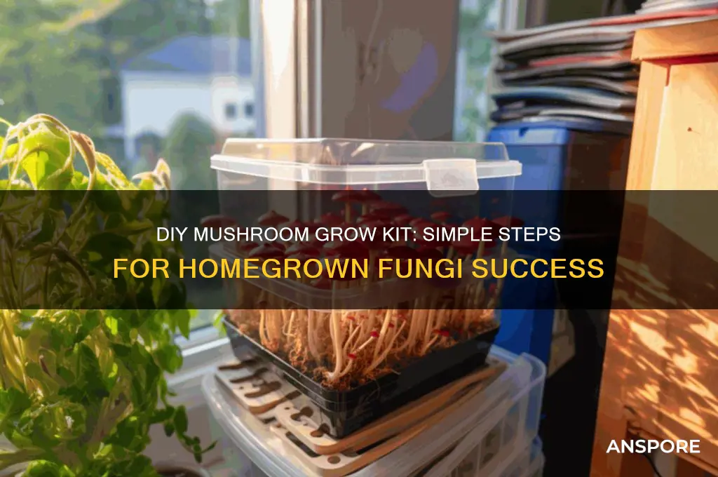 how to make your own mushroom grow kit