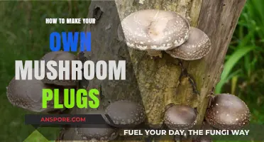 Crafting Mushroom Plugs: A DIY Guide for Home Cultivation
