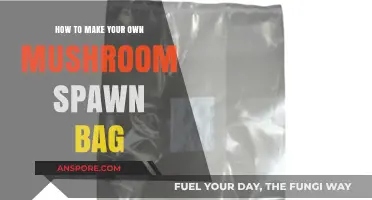 DIY Mushroom Spawn Bag: Simple Steps for Home Cultivation