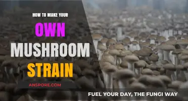 Mastering Mushroom Cultivation: Craft Your Unique Strain at Home