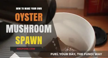 DIY Oyster Mushroom Spawn: Simple Steps for Successful Cultivation
