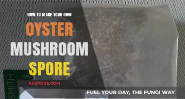 DIY Oyster Mushroom Spore Production: A Step-by-Step Guide