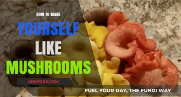 Discover the Delight: A Guide to Loving Mushrooms Effortlessly