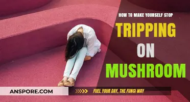 Grounding Techniques to Safely Navigate a Mushroom Trip
