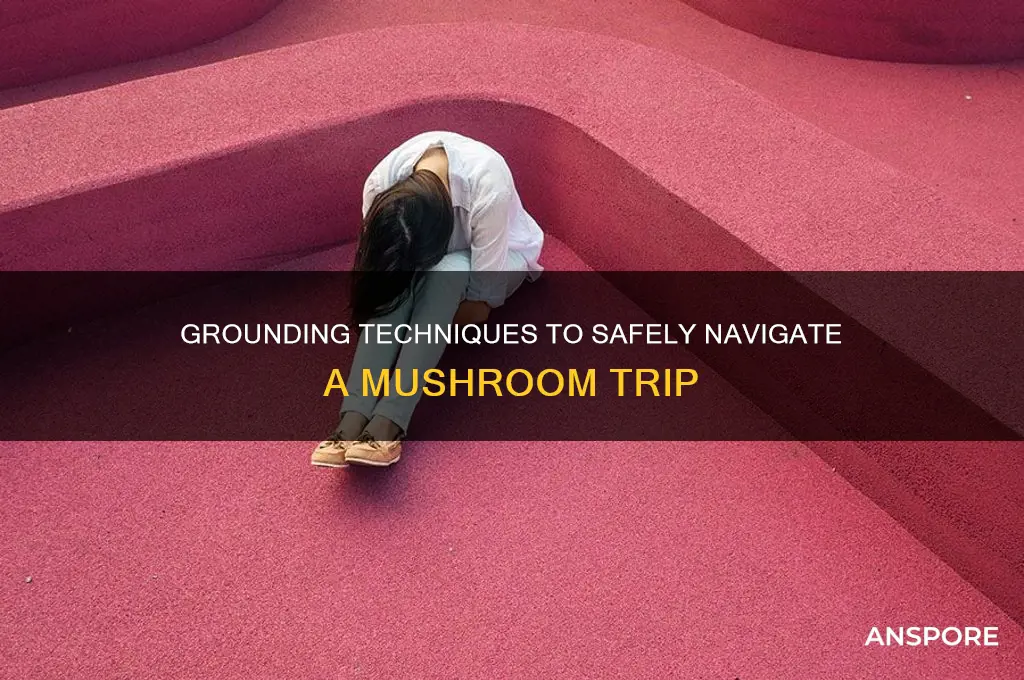 how to make yourself stop tripping on mushrooms