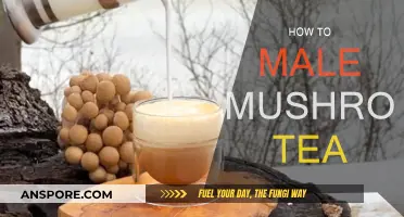 Brewing Mushroom Tea: A Step-by-Step Guide