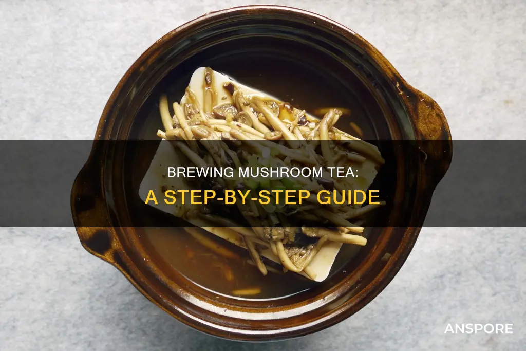 how to male mushroom tea