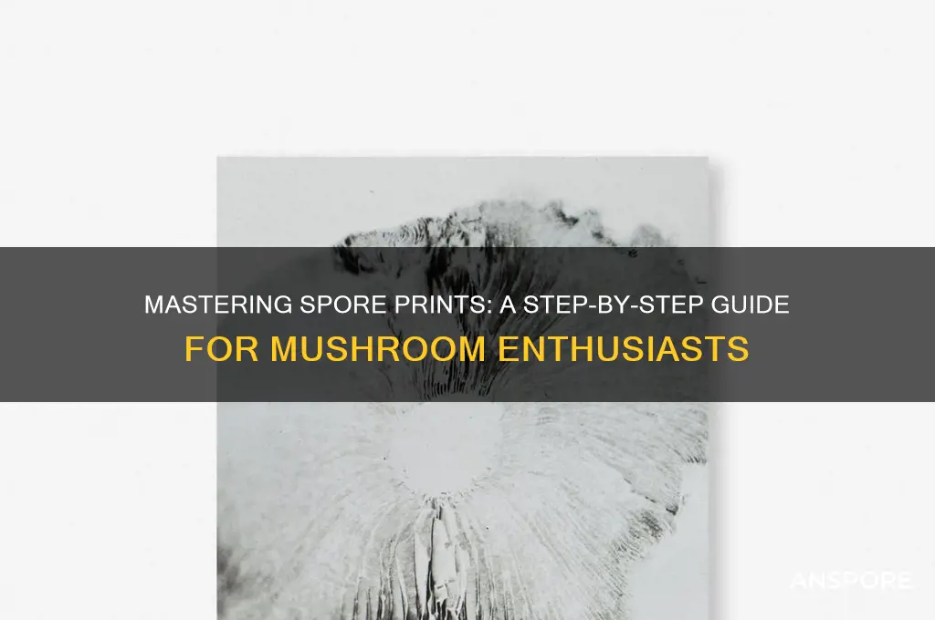 how to male spore prints