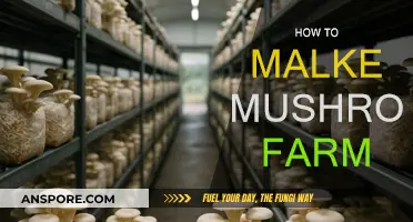 Mushroom Farming: A Step-by-Step Guide to Success