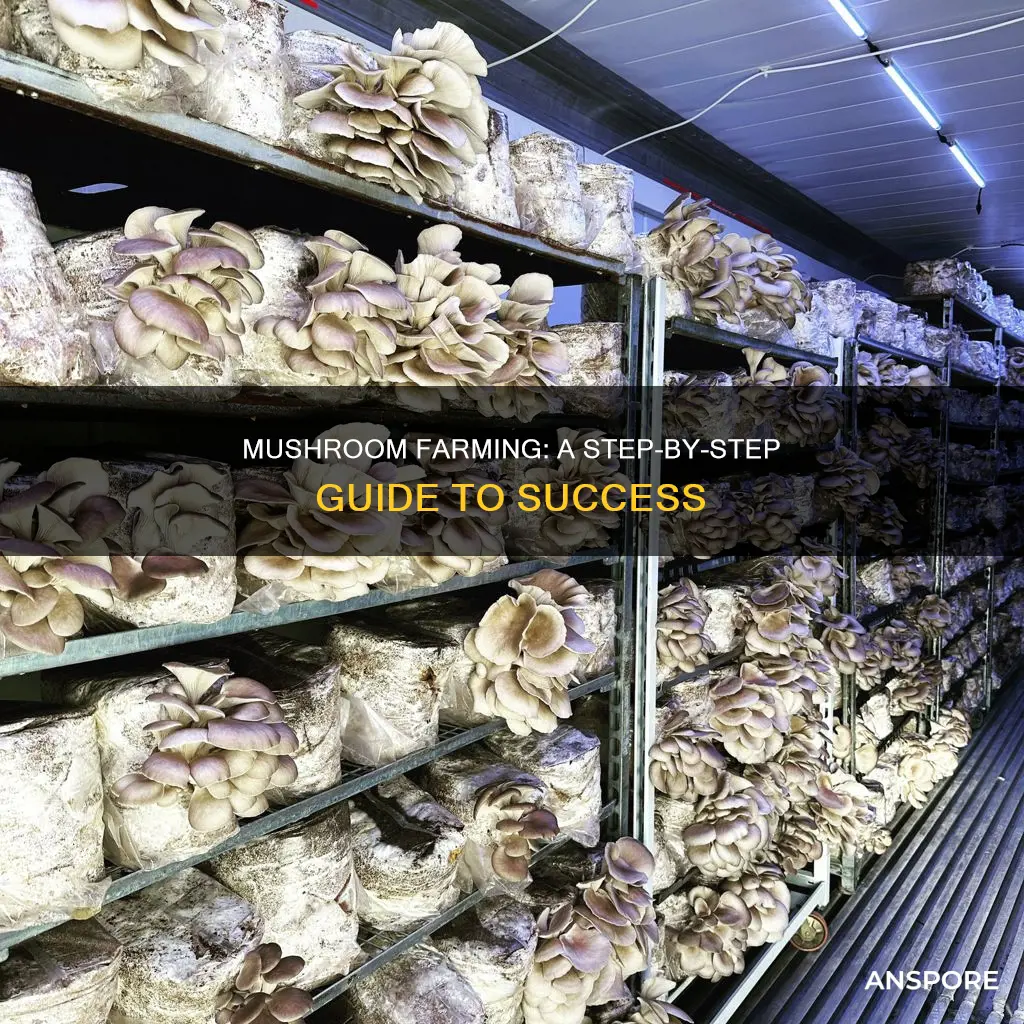 how to malke mushroom farm