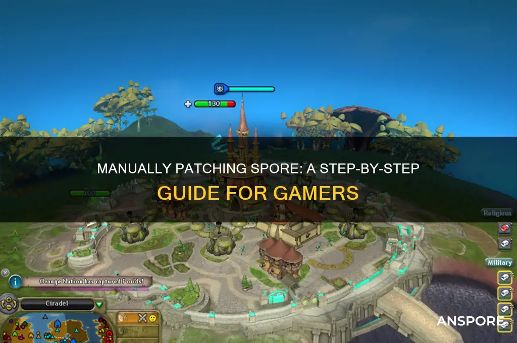 how to manually patch spore