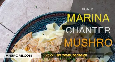 Marinating Chanterelle Mushrooms: A Simple Guide