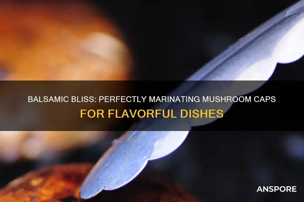 how to marinate mushrooms caps in balsamic