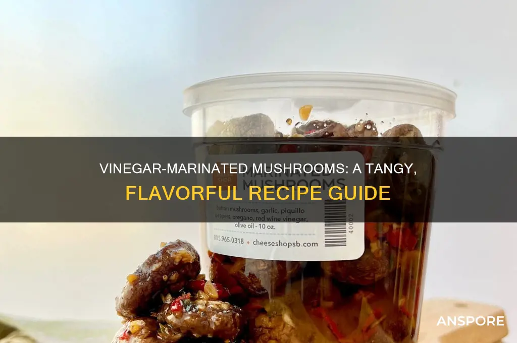 how to marinate mushrooms with vinegar