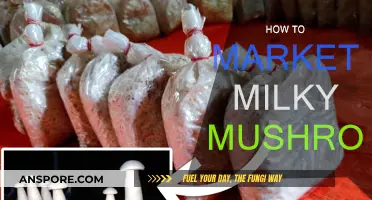 Marketing Milky Mushrooms: A Fresh Approach