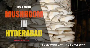 Effective Mushroom Marketing Strategies for Success in Hyderabad's Competitive Market