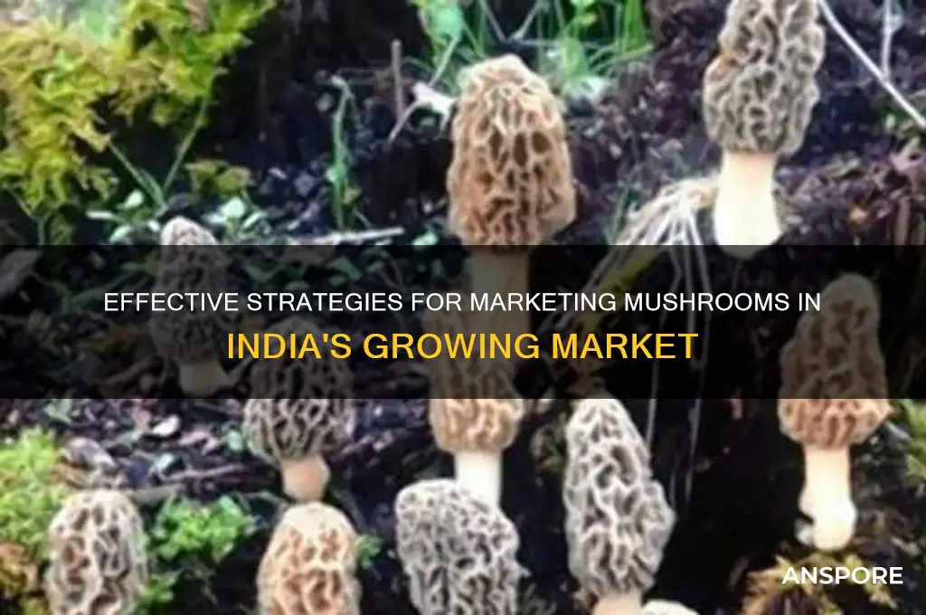 how to market mushroom in india