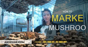 Mushroom Marketing: Strategies for Success