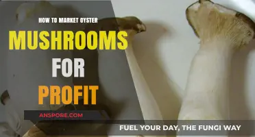 Profitable Oyster Mushroom Marketing: Strategies for Success and Growth