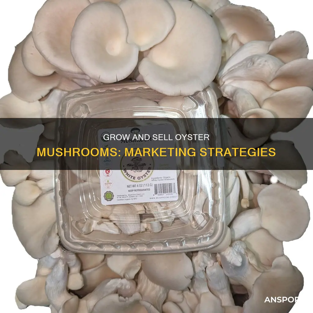 how to market oyster mushrooms