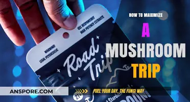 Enhance Your Mushroom Journey: Tips for a Profound Psychedelic Experience