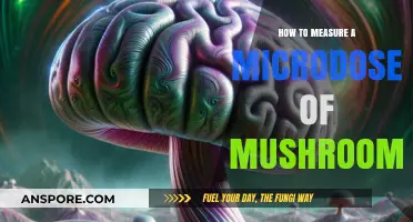 Precise Microdosing: Accurate Measurement Techniques for Mushroom Dosages
