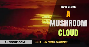 Measuring Mushroom Clouds: Techniques for Assessing Nuclear Blast Impacts