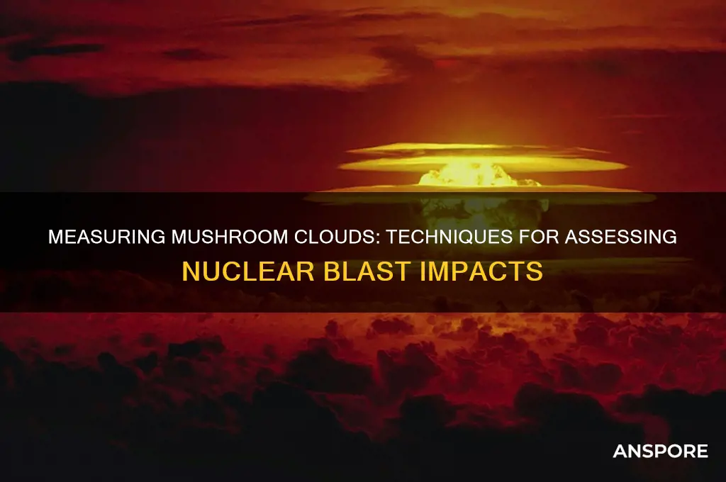 how to measure a mushroom cloud