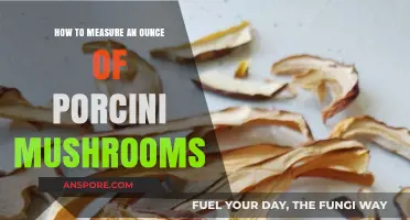Accurately Measuring an Ounce of Porcini Mushrooms: A Simple Guide