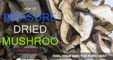 Measuring Dried Mushrooms: A Quick Guide