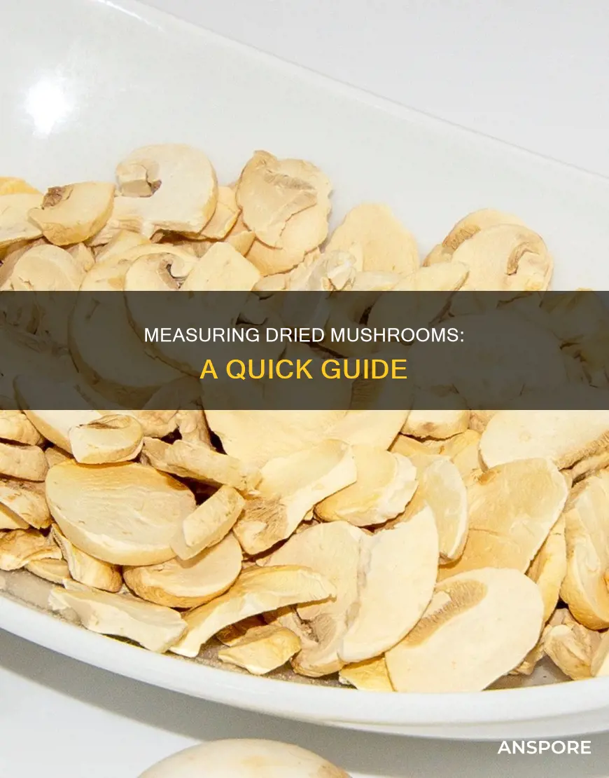 how to measure dried mushrooms