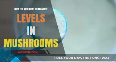 Measuring Glutamate Levels in Mushrooms: A Comprehensive Guide