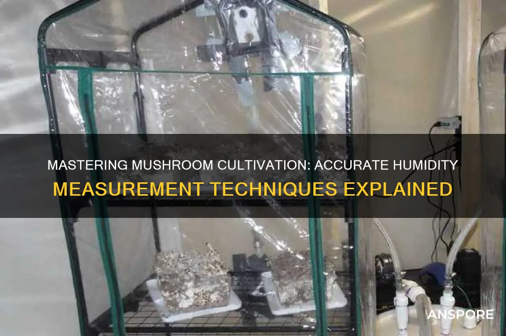 how to measure humidity mushroom cultivation