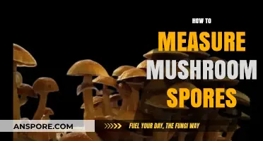 Mastering Mushroom Spore Measurement: Techniques for Accurate Results