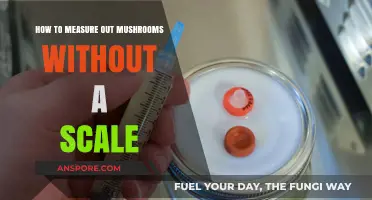 Accurately Measure Mushrooms Without a Scale: Simple Tips and Tricks