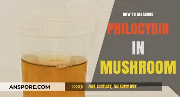 Accurate Psilocybin Measurement: Techniques for Testing Magic Mushrooms