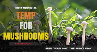 Mastering Mushroom Cultivation: Accurate Soil Temperature Measurement Techniques