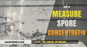 Accurate Spore Concentration Measurement: Techniques and Tools for Success