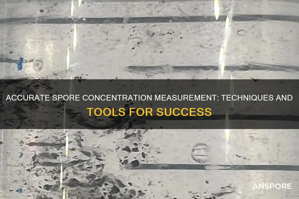 how to measure spore concentration