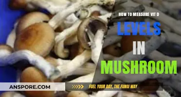 Measuring Vitamin D in Mushrooms: A Comprehensive Testing Guide